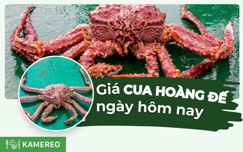 Cua hoàng đế bao nhiêu tiền 1kg? Cập nhật giá cua hoàng đế hôm nay