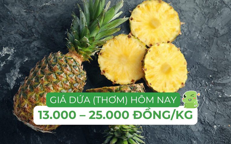 Giá thơm hôm nay dao động trong khoảng 13.000 – 25.000 đồng/kg