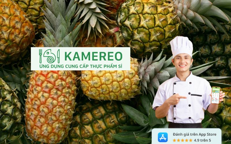 Kamereo là địa chỉ cung cấp dứa chất lượng, giá tốt tại Thành phố Hồ Chí Minh và Hà Nội