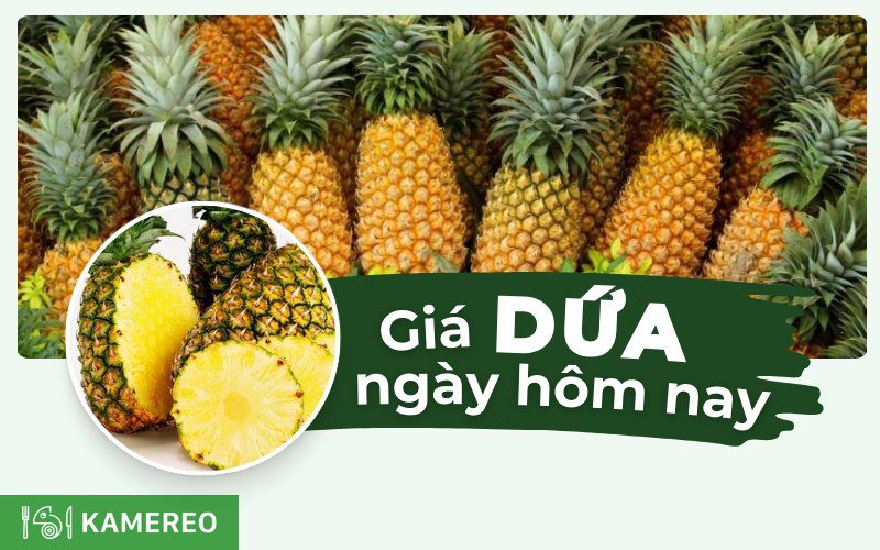 Thơm bao nhiêu 1kg? Giá dứa hôm nay