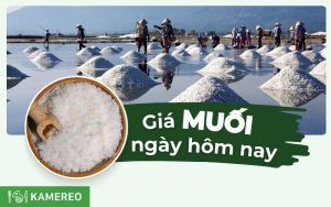 1kg muối bao nhiêu tiền? Cập nhật giá các loại muối mới nhất