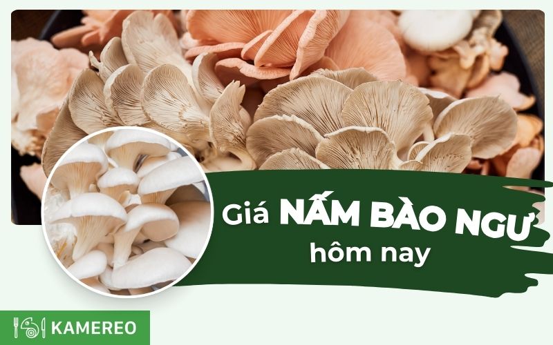 Cập nhật giá nấm bào ngư trắng, xám mới nhất hôm nay