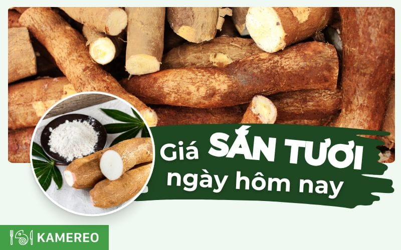 Giá sắn tươi ngày hôm nay bao nhiêu? Cập nhật giá sắn mới nhất 24 giờ qua