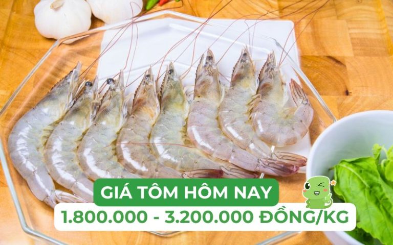 Tom Hom Tôm bao nhiêu 1kg? Cập nhật giá tôm hôm nay