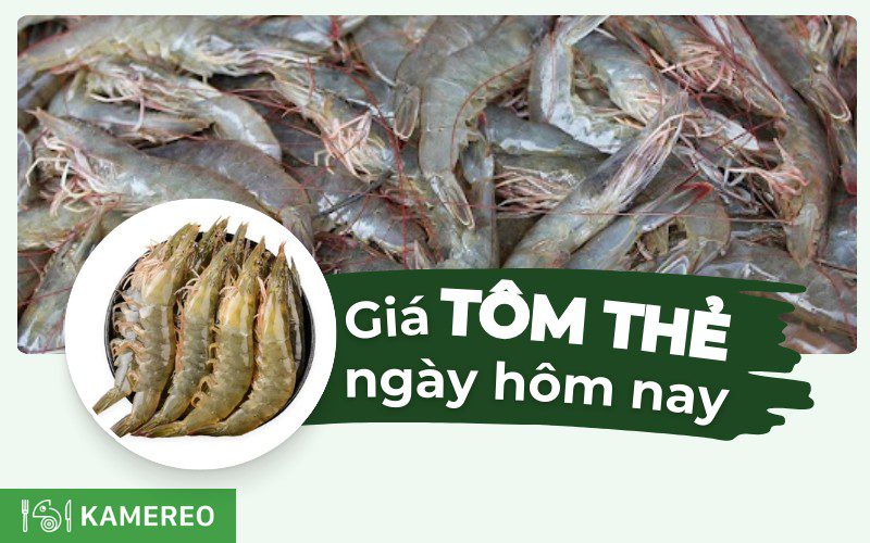 Tôm thẻ bao nhiêu 1kg? Giá tôm thẻ hôm nay