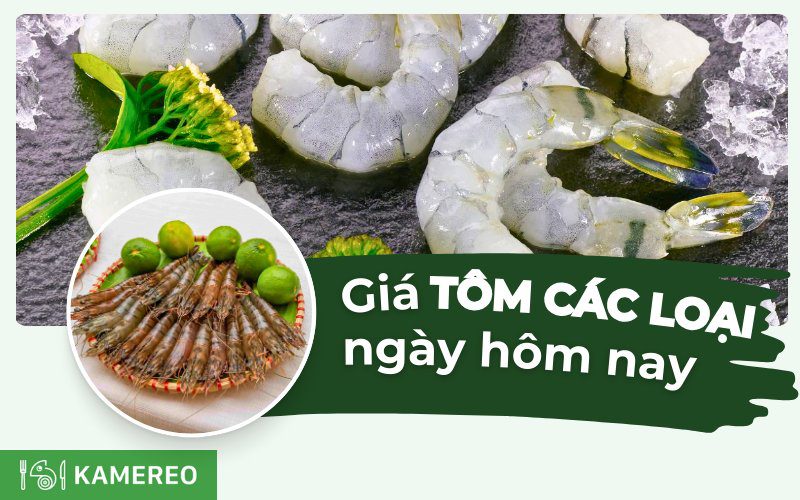 Tôm bao nhiêu 1kg? Cập nhật giá tôm hôm nay