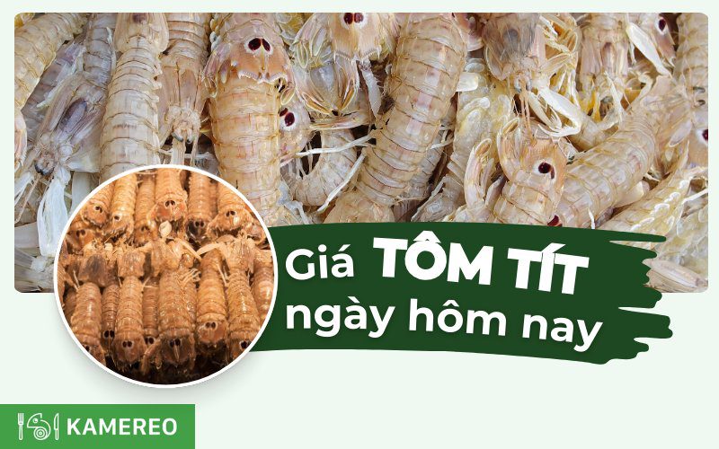 Tôm tít bao nhiêu 1kg? Giá tôm tít hôm nay