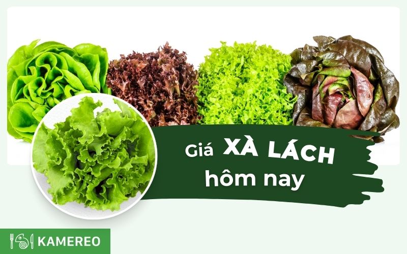 Bảng giá rau xà lách các loại cập nhật mới nhất 24 giờ qua