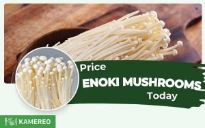 How much are enoki mushrooms? Update the latest enoki mushroom price