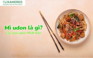 Mì udon: Đặc điểm, nguồn gốc và các loại udon Nhật Bản phổ biến