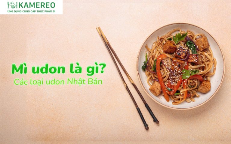 Mì udon: Đặc điểm, nguồn gốc và các loại udon Nhật Bản phổ biến