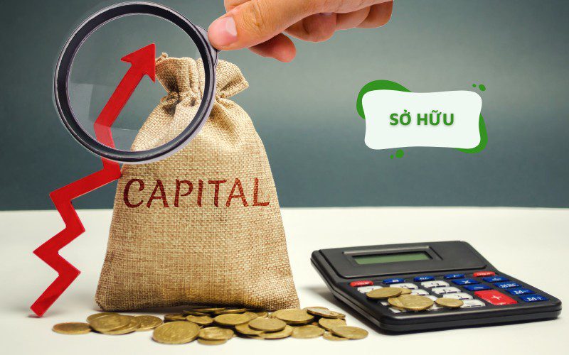 Nhà hàng cũng được phân loại dựa trên phương thức sở hữu