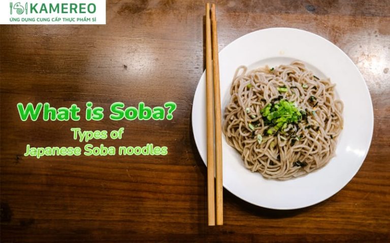 What is Soba Noodles? Types of Soba Noodles and Authentic Japanese Ways to Enjoy Them