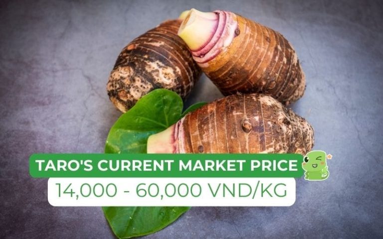 How much is taro price today per kg? Latest updated purple, white, and ...