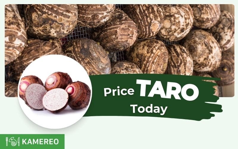 How much is taro price today per kg? Latest updated purple, white, and yellow waxy taro prices