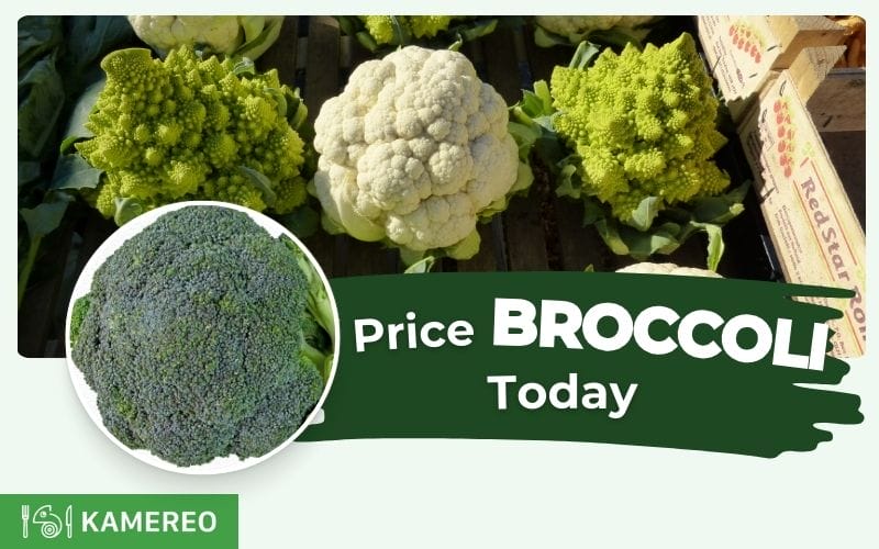 Today's broccoli price per kg? Latest broccoli and cauliflower price update