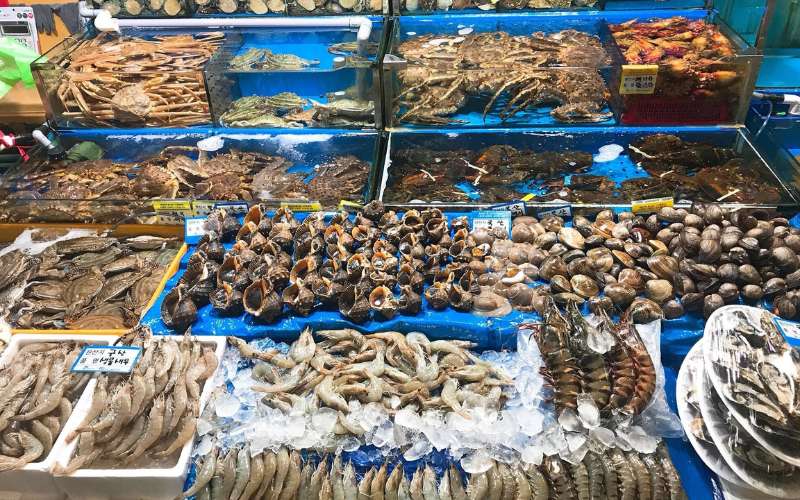 Hải sản nhập khẩu đa dạng, phục vụ nhu cầu cao cấp cho khách hàng.