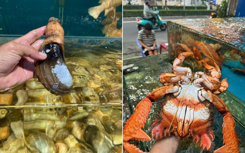 Hải Sản Ngô Sự - nhà cung cấp hải sản nhập khẩu uy tín