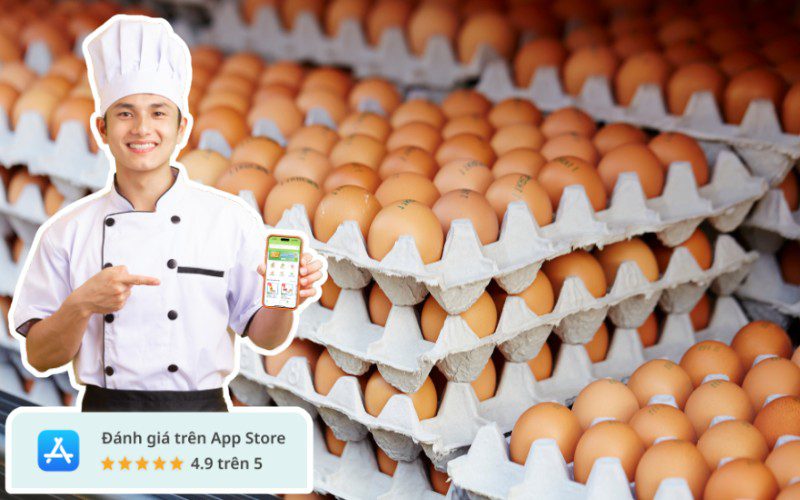 Kamereo là nhà cung cấp trứng giá sỉ chất lượng