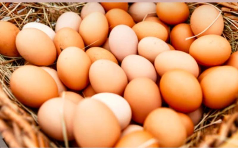 Công ty hiện đã có mặt ở nhiều kênh bán hàng trên thị trường