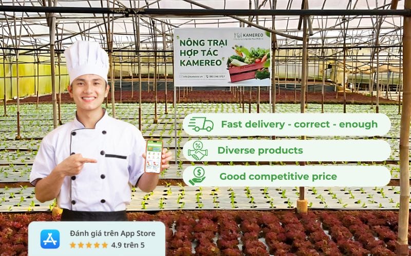 Kamereo: A reputable vegetable and fruit supply solution in Dalat with goods sourced from VietGAP farms