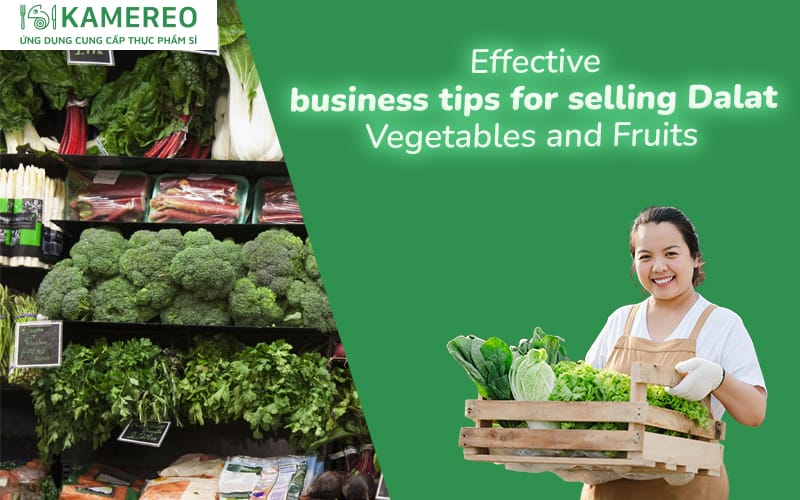 Comprehensive Guide to Dalat Vegetable and Fruit Business from A to Z