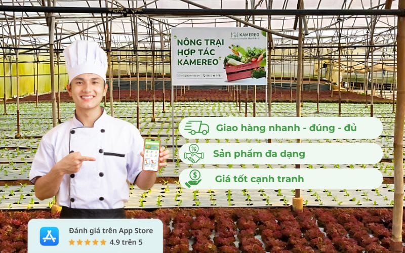 Kamereo: Giải pháp cung ứng rau củ quả uy tín tại Đà Lạt với nguồn hàng từ trang trại VietGAP