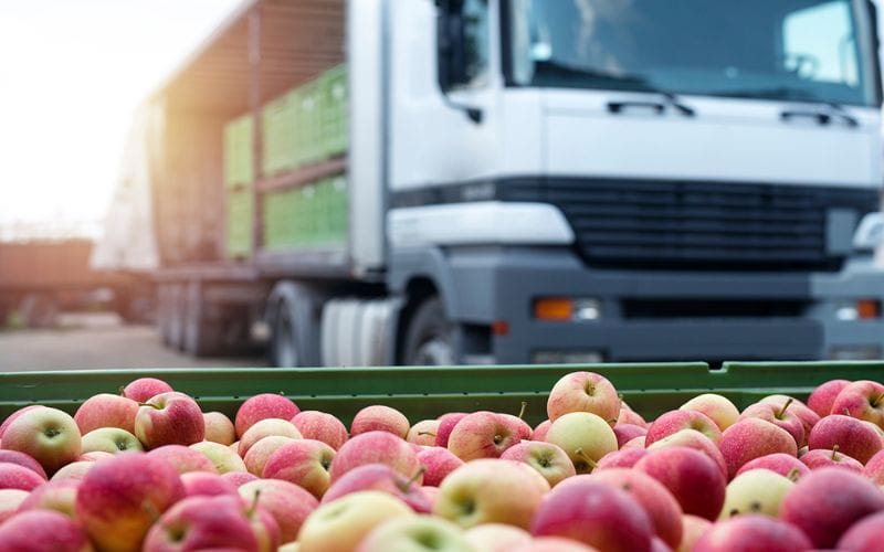 Chi phí vận chuyển từ Đà Lạt và bảo quản lạnh cho rau củ quả cần được tính toán kỹ lưỡng