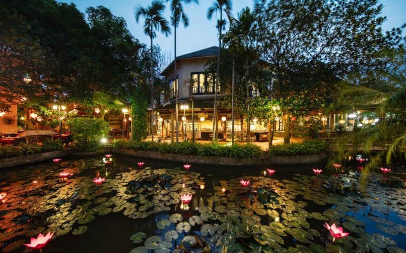 Không gian ấm cúng và thanh bình của Sen Tây Hồ