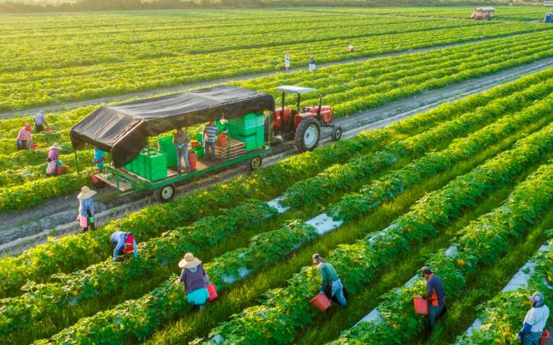 Chi phí logistics đẩy giá bán cuối tăng cao