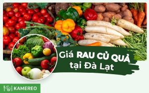 Cập nhật bảng giá rau củ quả Đà Lạt mới nhất