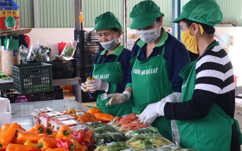 Vườn Nhà Đà Lạt cam kết chất lượng tươi ngon mỗi ngày
