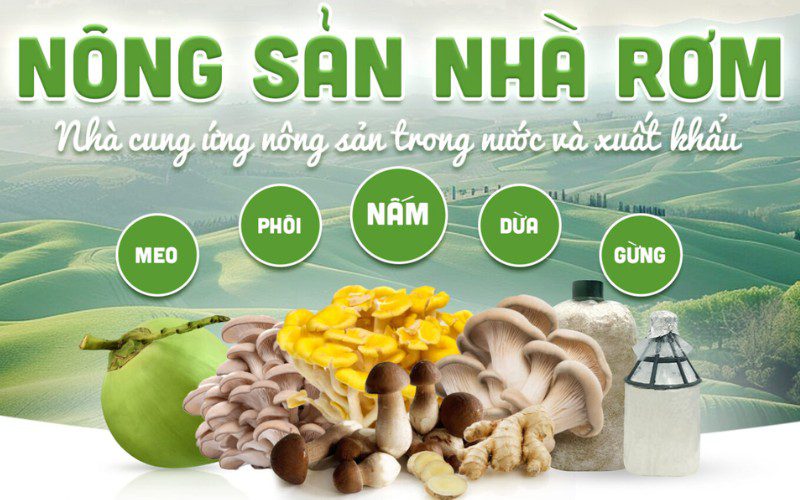 Gừng tươi được Nhà Rơm tuyển chọn kỹ lưỡng từ khắp các vùng miền Việt Nam