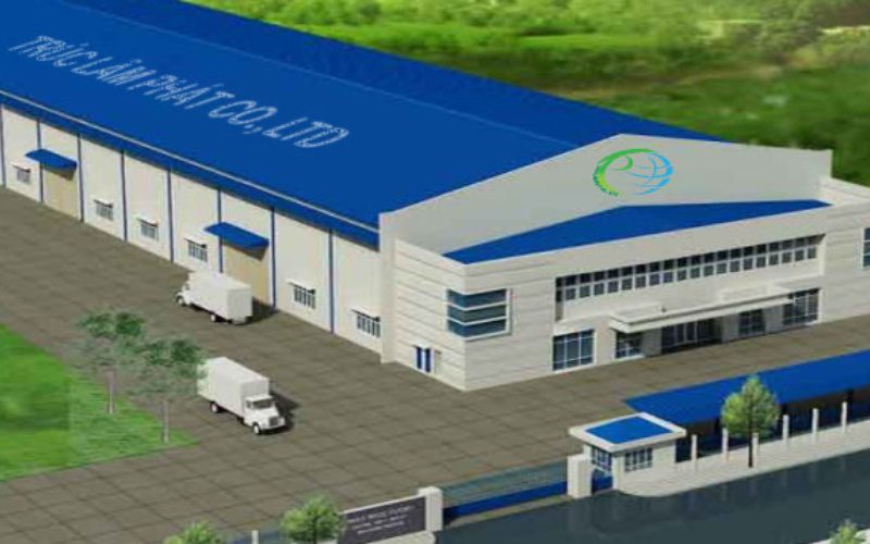 Trúc Lâm Phát chuyên cung cấp gừng tươi xuất khẩu đạt tiêu chuẩn quốc tế