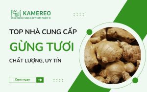 Nhà Cung Cấp Gừng Tươi Chất Lượng, Uy Tín
