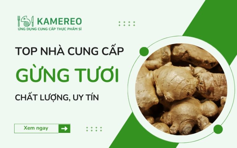 Nhà Cung Cấp Gừng Tươi Chất Lượng, Uy Tín
