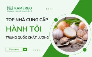 Nhà cung cấp hành tỏi Trung Quốc chất lượng