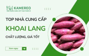 Địa chỉ cung cấp khoai lang chất lượng, giá tốt