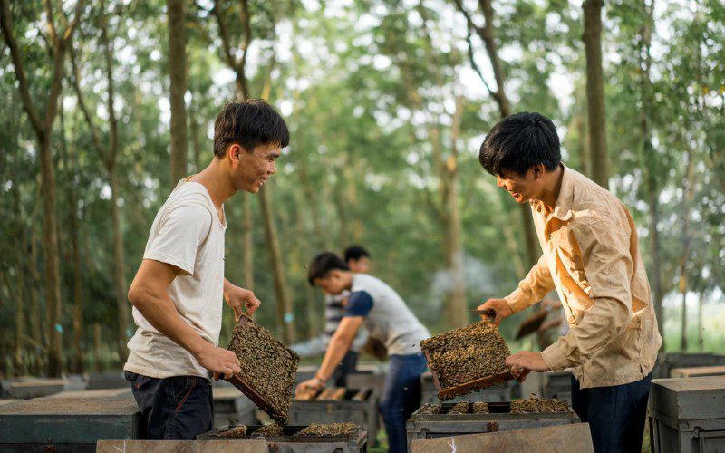 Mỗi sản phẩm của Tracybee đều được kiểm soát nghiêm ngặt từ khâu nuôi ong, thu hoạch đến đóng gói