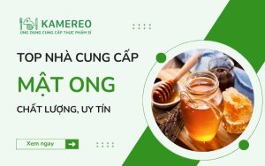 TOP đơn vị cung cấp mật ong chất lượng, uy tín