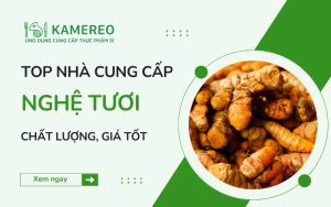 TOP nhà cung cấp nghệ tươi chất lượng, giá tốt