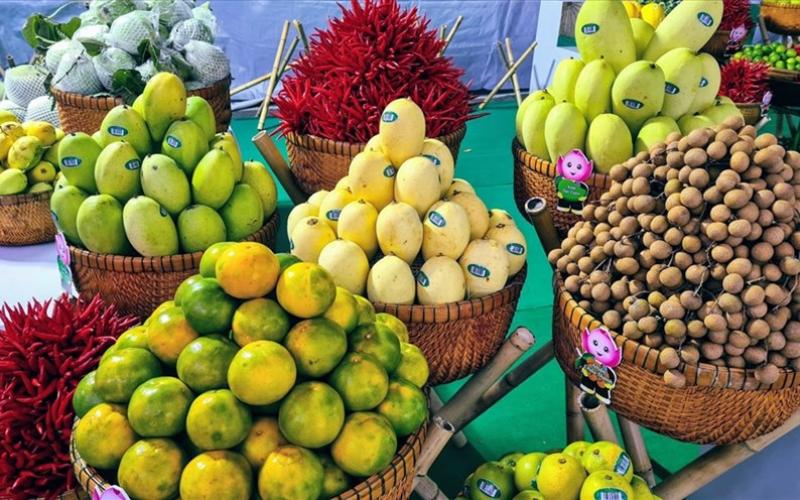 C&C – Đối tác tin cậy trong cung cấp nông sản chất lượng cao, từ trang trại đến bàn ăn.