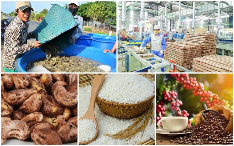 Vilaconic chuyên sản xuất và xuất khẩu đa dạng các mặt hàng nông sản