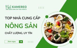 Nhà Cung Cấp Nông Sản Uy Tín Và Chất Lượng