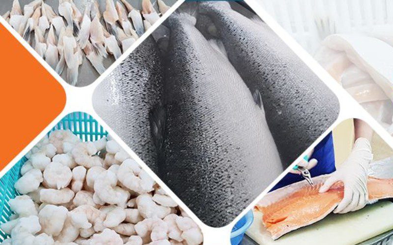 Thực Phẩm Gia Anh không ngừng tối ưu quy trình mang đến sản phẩm chất lượng