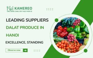 10 Fresh and Affordable Da Lat Vegetable and Fruit Retailers in Hanoi