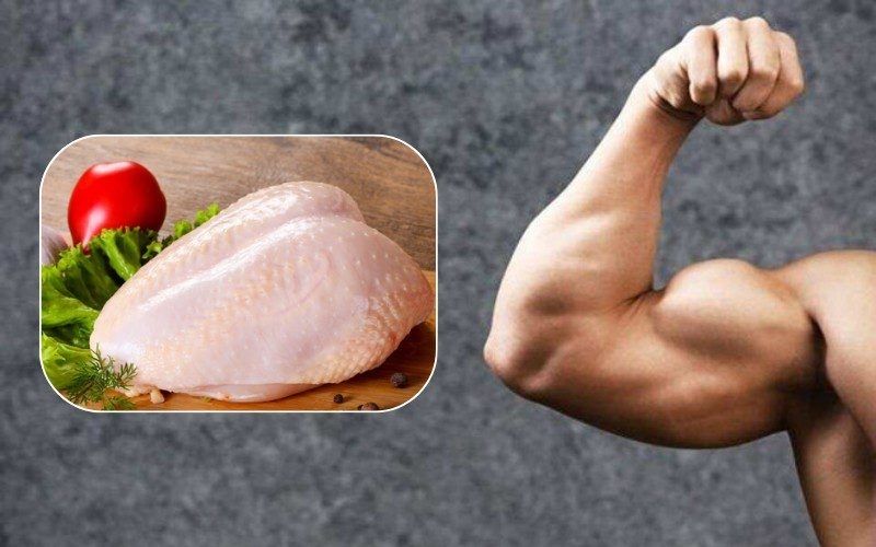 Chicken breast supports the formation, maintenance, and development of muscles due to its abundant protein and water content