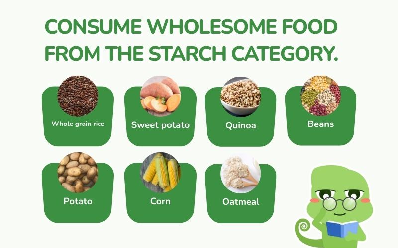 Starch is the main energy source, providing additional vitamins, minerals, and fiber