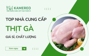 Mua ra giá sỉ ở đâu? Các địa chỉ cung cấp thịt gà tại TPHCM