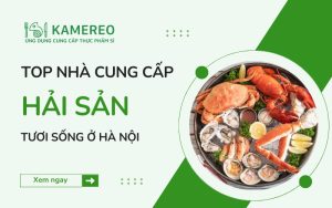 Địa chỉ mua hải sản tươi sống ở Hà Nội